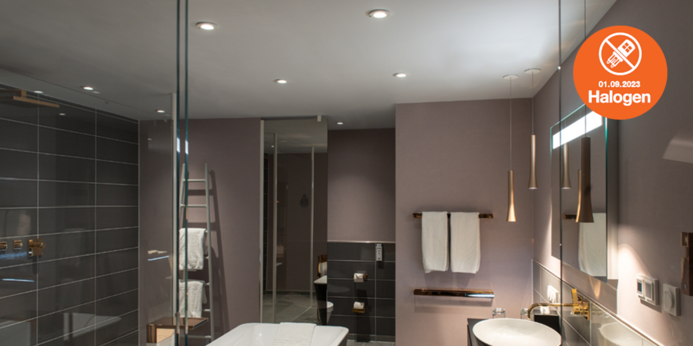 Lösungen zum Halogenlampen Verbot bei Elektro Schlierf in Pfahldorf